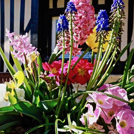 La Longere Deauville Bonneville-sur-Touques Zewnętrze zdjęcie